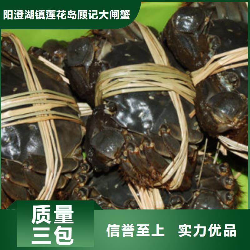 康保縣網(wǎng)上訂購大閘蟹