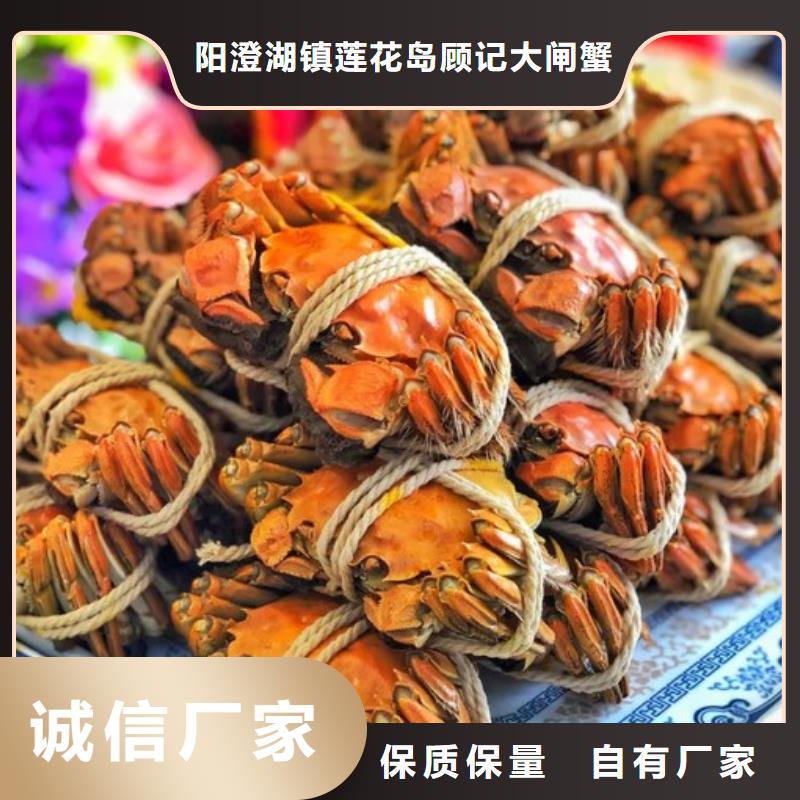 大閘蟹_歡迎您