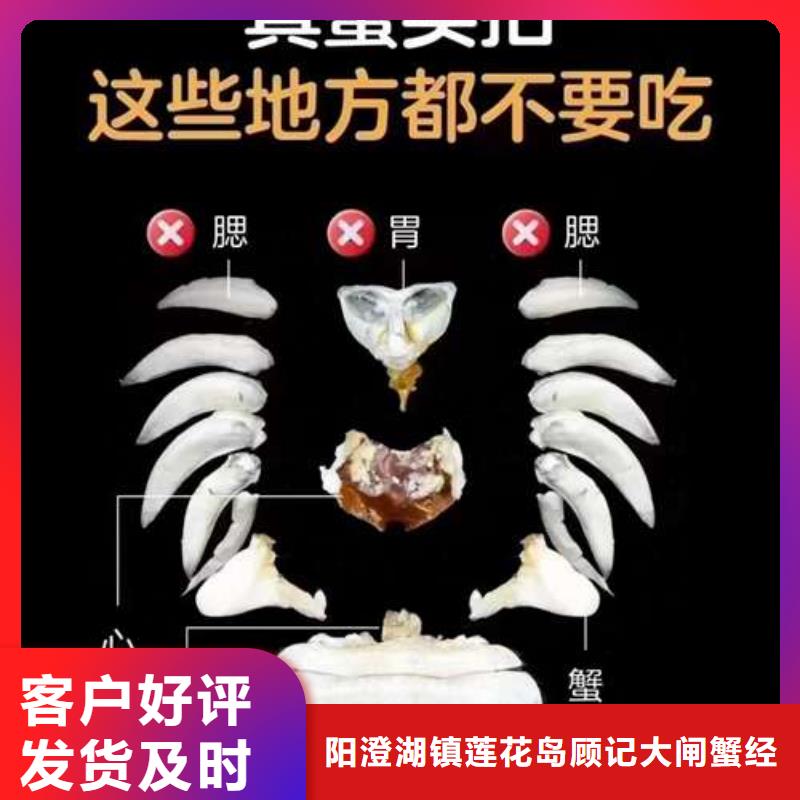 陽澄湖大閘蟹工藝先進