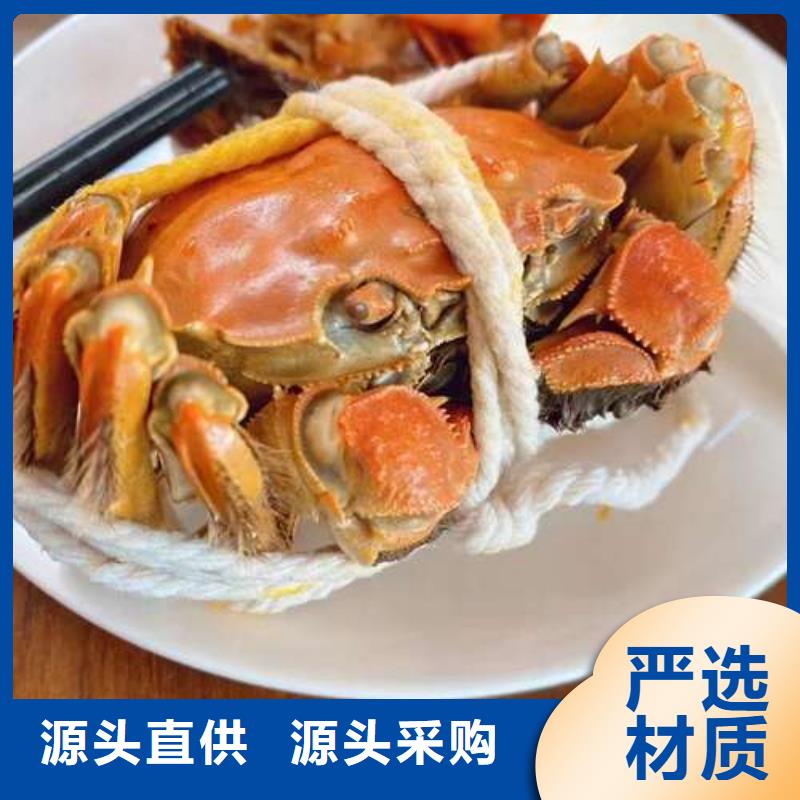 买大闸蟹视频-买大闸蟹-阳澄湖镇岛顾记大闸蟹经营部(南昌市分公司)服务区域东湖|湾里|新余|萍乡|抚州|上饶