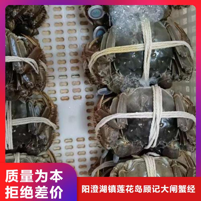 买大闸蟹视频-买大闸蟹-阳澄湖镇岛顾记大闸蟹经营部(南昌市分公司)服务区域东湖|湾里|新余|萍乡|抚州|上饶