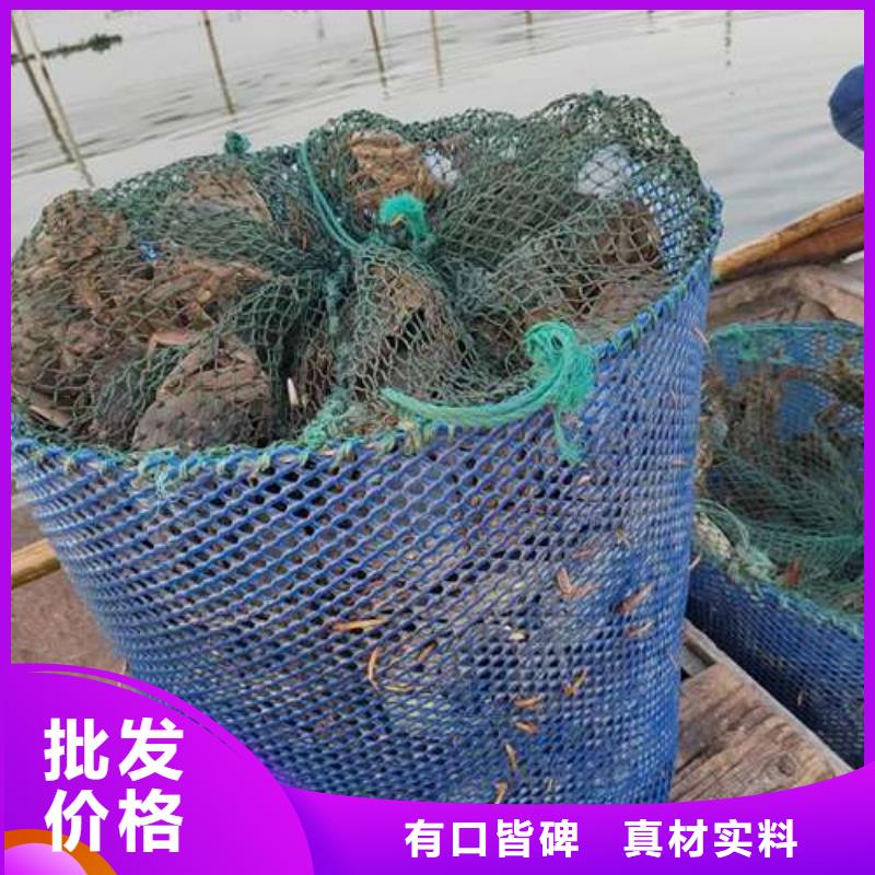 买大闸蟹视频-斗门|香洲|梅州|湛江|广州|汕尾买大闸蟹长期供应-阳澄湖镇岛顾记大闸蟹经营部(珠海市分公司)