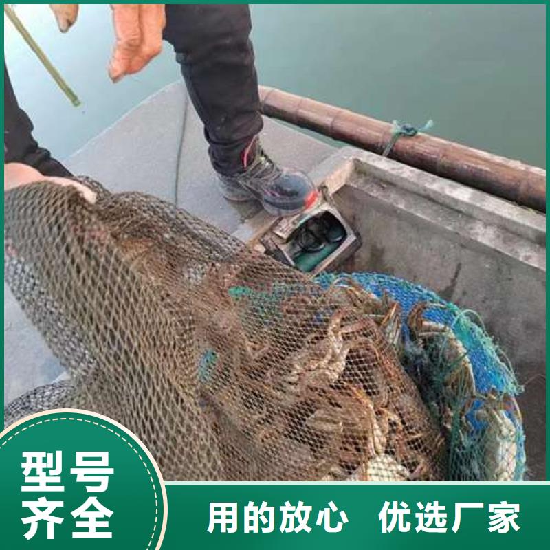 阳澄湖大闸蟹免费寄样