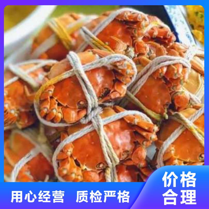 陽澄湖大閘蟹重口碑廠家