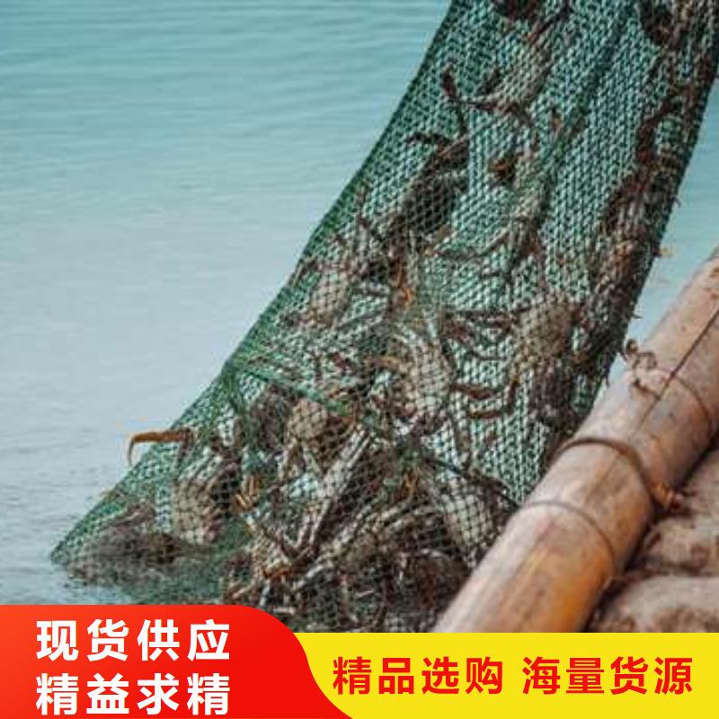 买大闸蟹视频-湖南省常德市顾记买大闸蟹可服务区域石门|临澧|湘潭|永州|长沙|湘西|娄底|邵阳等