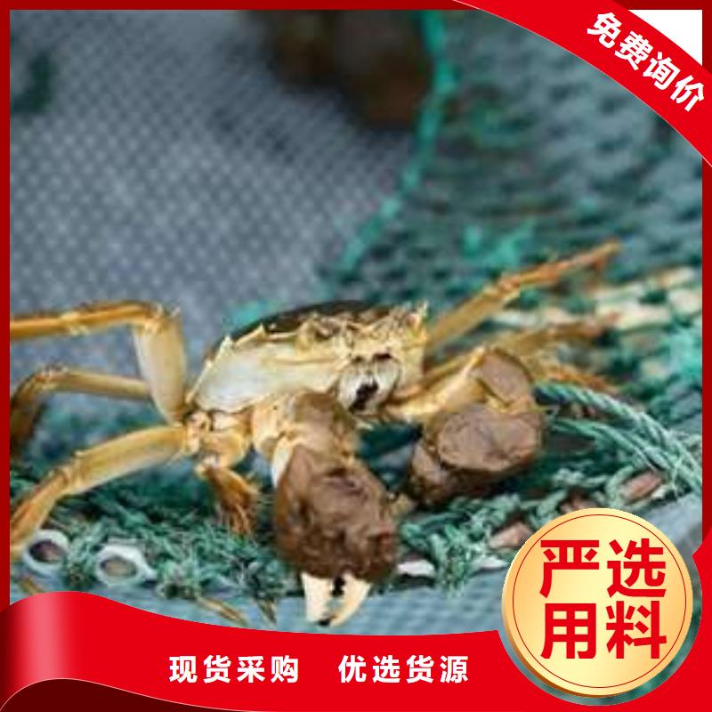 陽澄湖大閘蟹廠家直銷-找陽澄湖鎮蓮花島顧記大閘蟹經營部