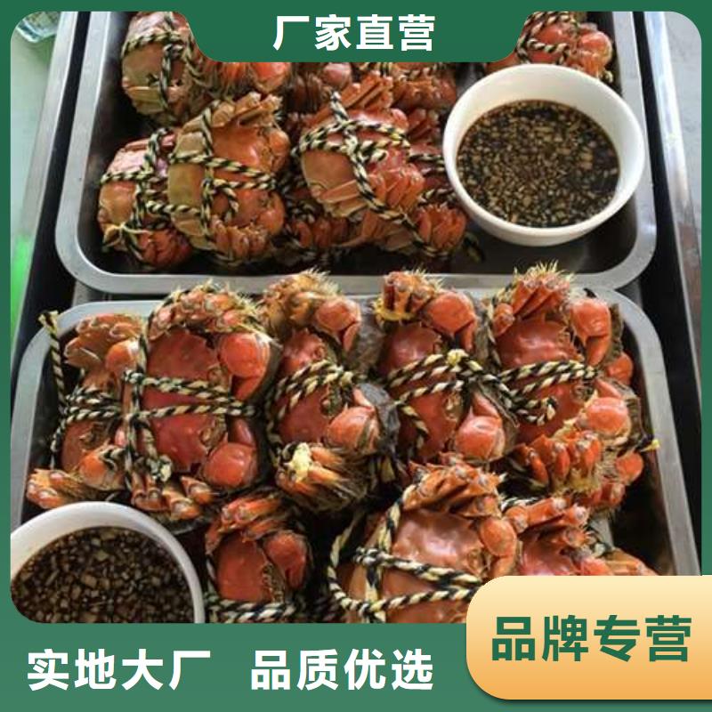 陽澄湖大閘蟹重口碑廠家