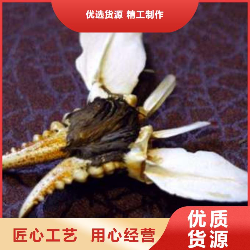 买大闸蟹视频-买大闸蟹-阳澄湖镇岛顾记大闸蟹经营部(南昌市分公司)服务区域东湖|湾里|新余|萍乡|抚州|上饶