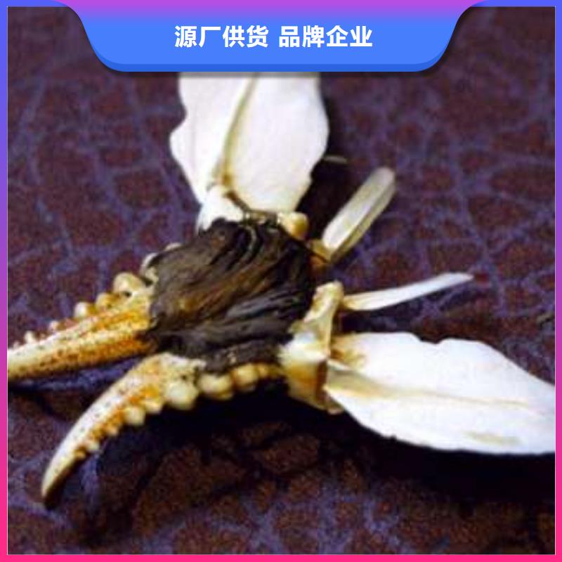 #陽澄湖大閘蟹#到廠參觀