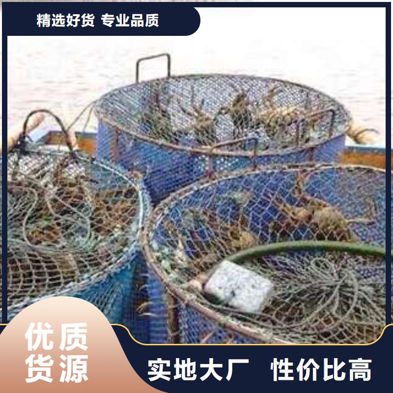 陽澄湖大閘蟹批發