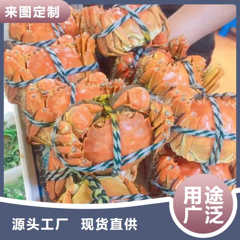 买大闸蟹视频-斗门|香洲|梅州|湛江|广州|汕尾买大闸蟹长期供应-阳澄湖镇岛顾记大闸蟹经营部(珠海市分公司)