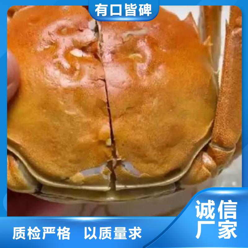 买大闸蟹视频-佛山|汕头|东莞|云浮|中山|湛江|广州顾记买大闸蟹_ 阳澄湖镇岛顾记大闸蟹经营部(广东省分公司)