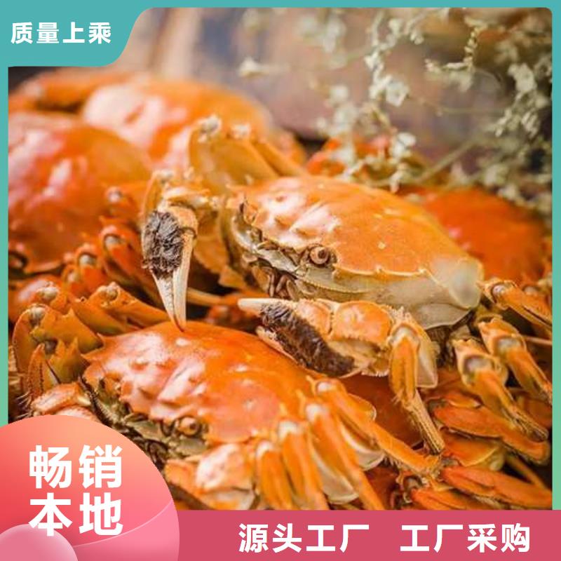买大闸蟹视频-涉县|成安|沧州|衡水|邢台|廊坊|保定|秦皇岛|张家口买大闸蟹定制不额外收费-阳澄湖镇岛顾记大闸蟹经营部(邯郸市分公司)