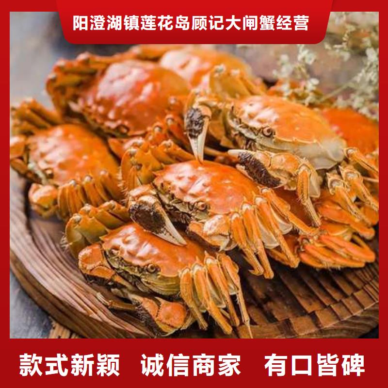 买大闸蟹视频-斗门|香洲|梅州|湛江|广州|汕尾买大闸蟹长期供应-阳澄湖镇岛顾记大闸蟹经营部(珠海市分公司)