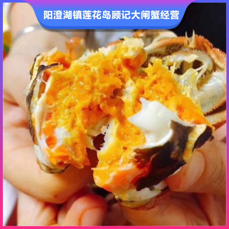 陽澄湖大閘蟹-陽澄湖大閘蟹供應(yīng)商