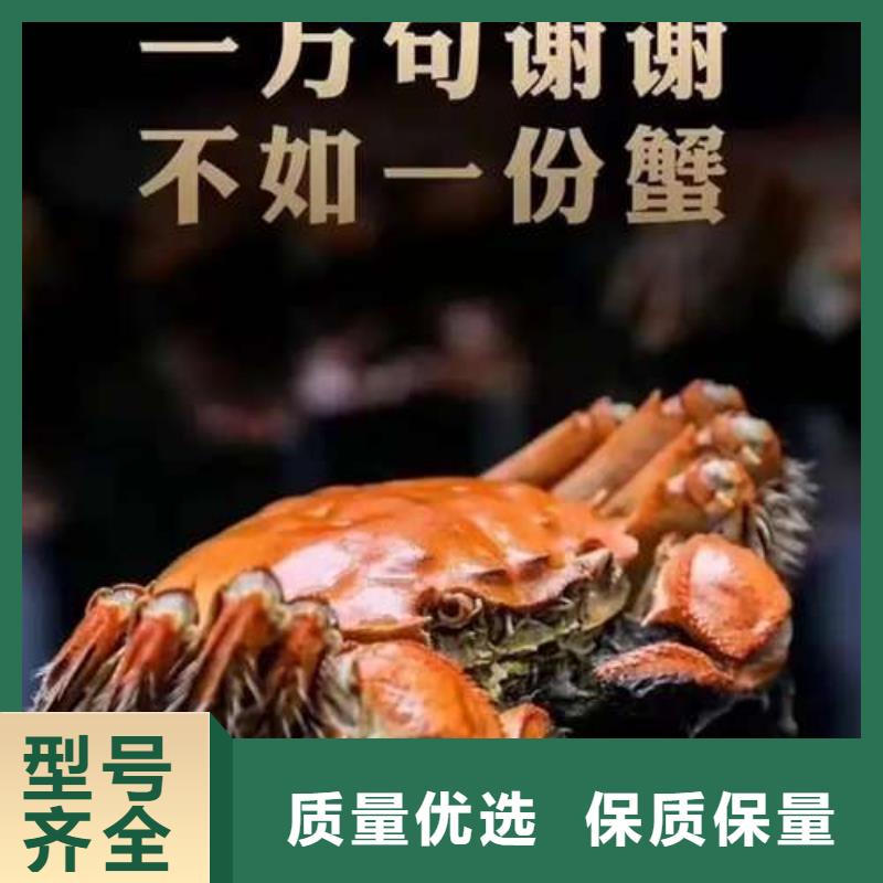 陽澄湖大閘蟹廠家直接報價