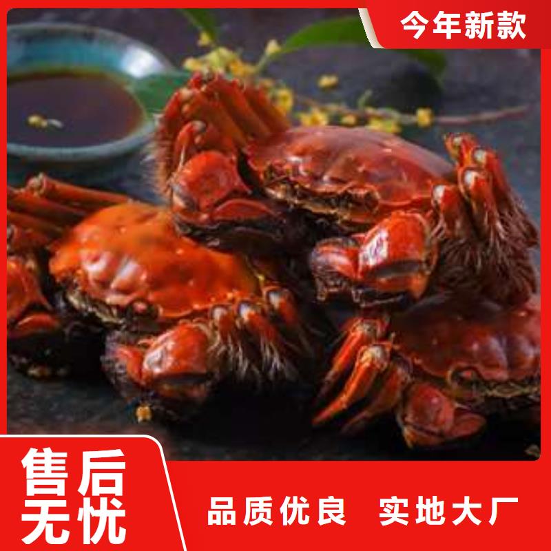买大闸蟹视频-佛山|汕头|东莞|云浮|中山|湛江|广州顾记买大闸蟹_ 阳澄湖镇岛顾记大闸蟹经营部(广东省分公司)