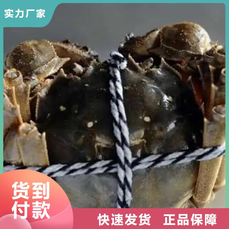 生產(chǎn)陽澄湖大閘蟹的基地