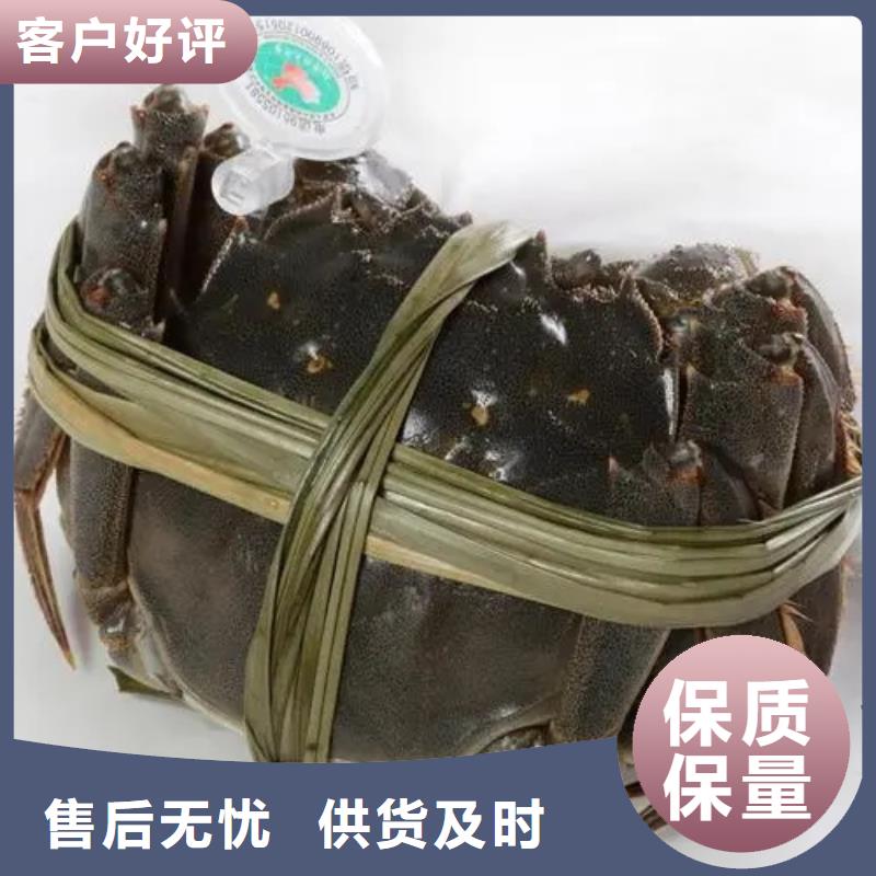生產(chǎn)陽澄湖大閘蟹的批發(fā)商