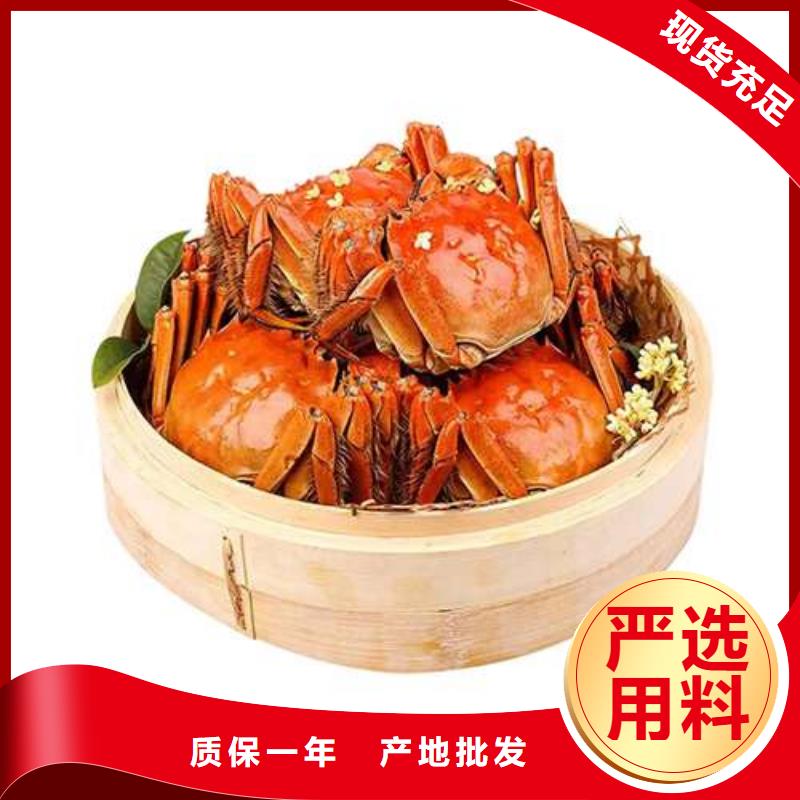 陽澄湖大閘蟹設計