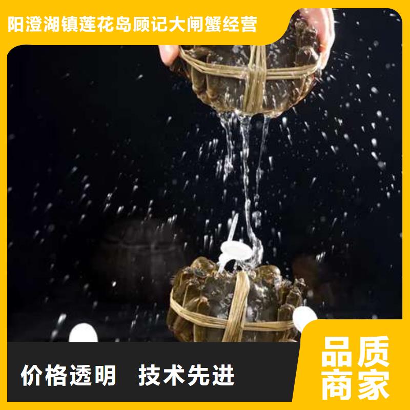 买大闸蟹视频-买大闸蟹|江西省|抚州|新余|宜春|南昌|上饶|吉安
