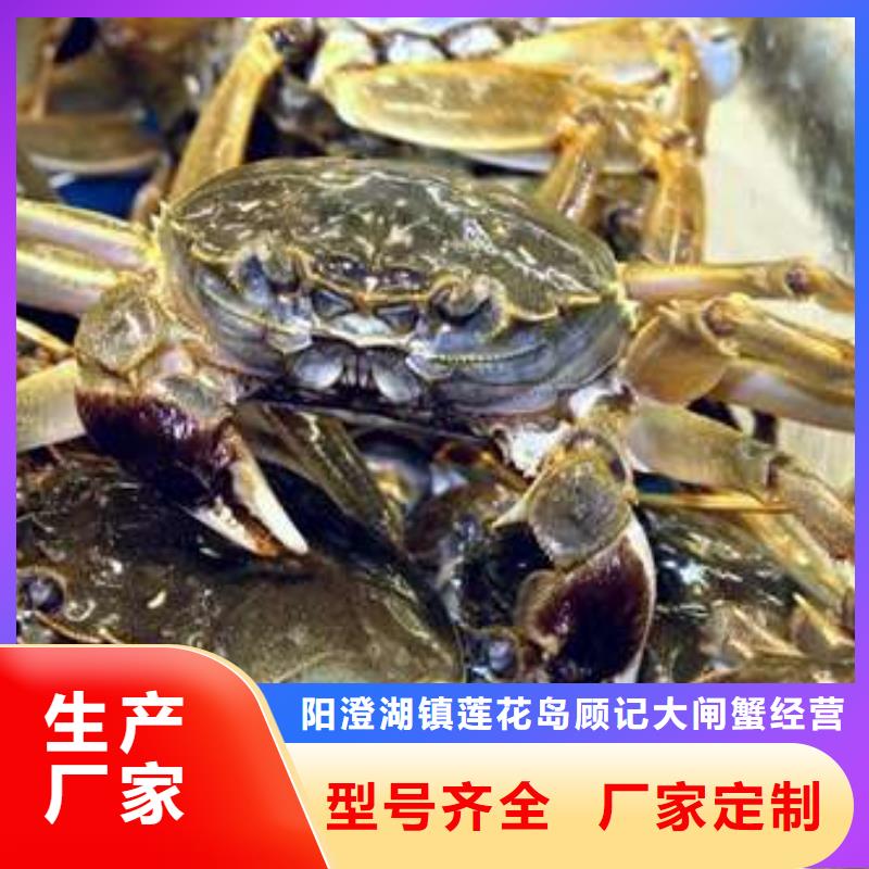 买大闸蟹视频-佛山|汕头|东莞|云浮|中山|湛江|广州顾记买大闸蟹_ 阳澄湖镇岛顾记大闸蟹经营部(广东省分公司)