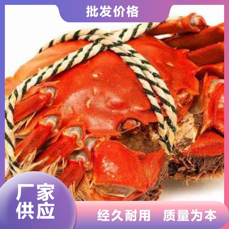 陽澄湖大閘蟹重口碑廠家