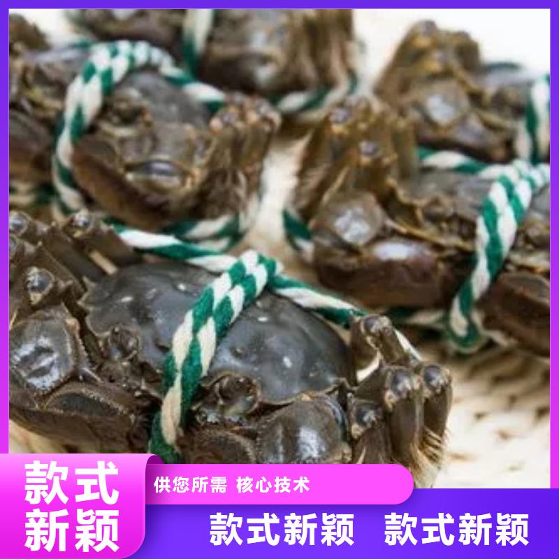 买大闸蟹视频-买大闸蟹|江西省|抚州|新余|宜春|南昌|上饶|吉安