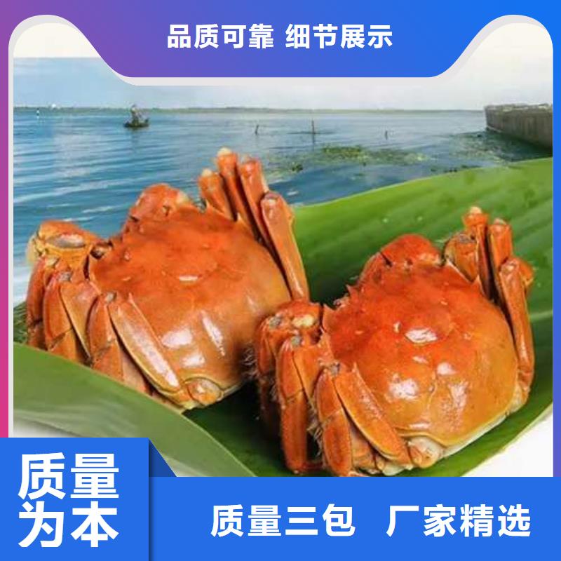 陽(yáng)澄湖大閘蟹品質(zhì)有保障