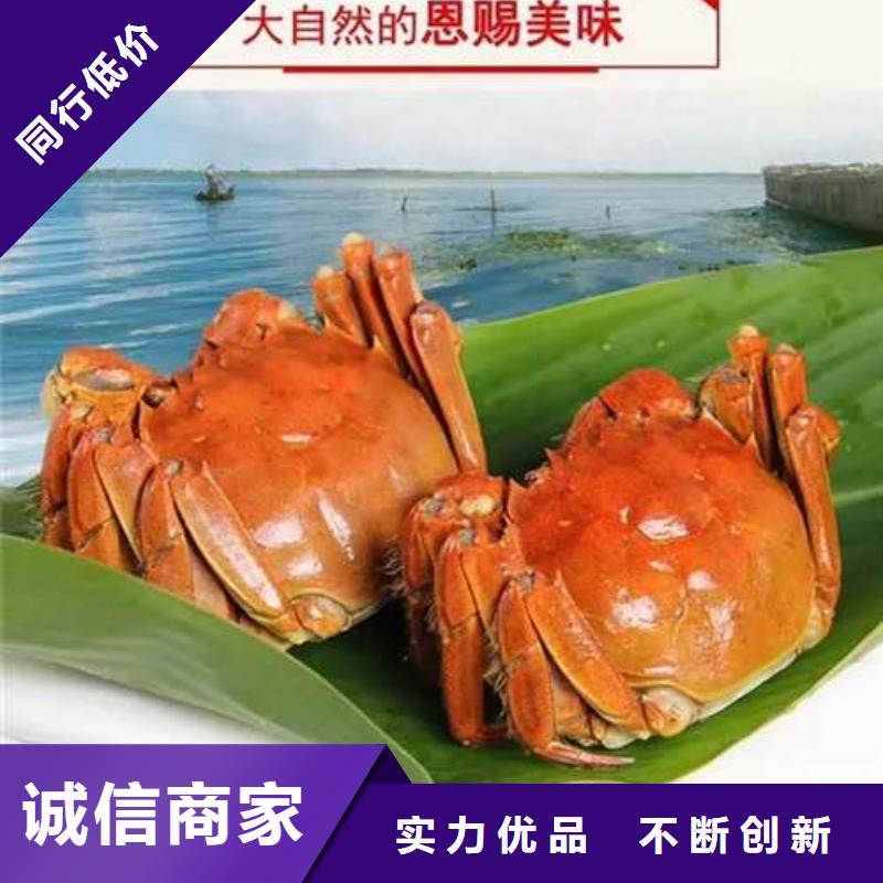 买大闸蟹视频-买大闸蟹-阳澄湖镇岛顾记大闸蟹经营部(南昌市分公司)服务区域东湖|湾里|新余|萍乡|抚州|上饶