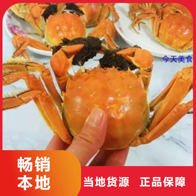 买大闸蟹视频-涉县|成安|沧州|衡水|邢台|廊坊|保定|秦皇岛|张家口买大闸蟹定制不额外收费-阳澄湖镇岛顾记大闸蟹经营部(邯郸市分公司)
