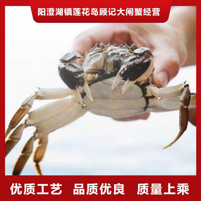 陽澄湖大閘蟹設計