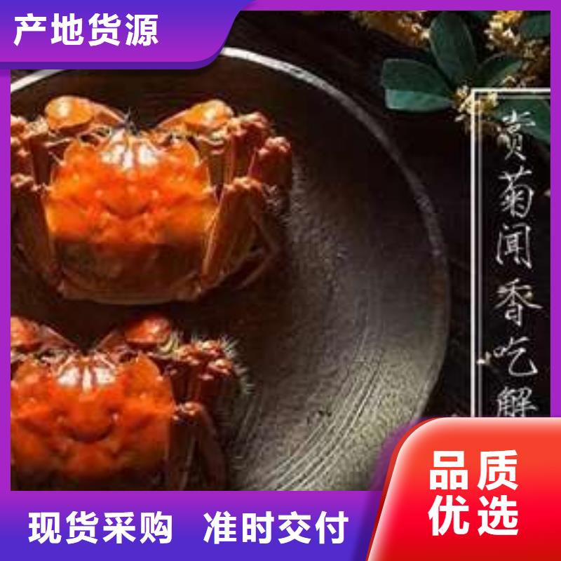买大闸蟹视频-买大闸蟹-阳澄湖镇岛顾记大闸蟹经营部(南昌市分公司)服务区域东湖|湾里|新余|萍乡|抚州|上饶
