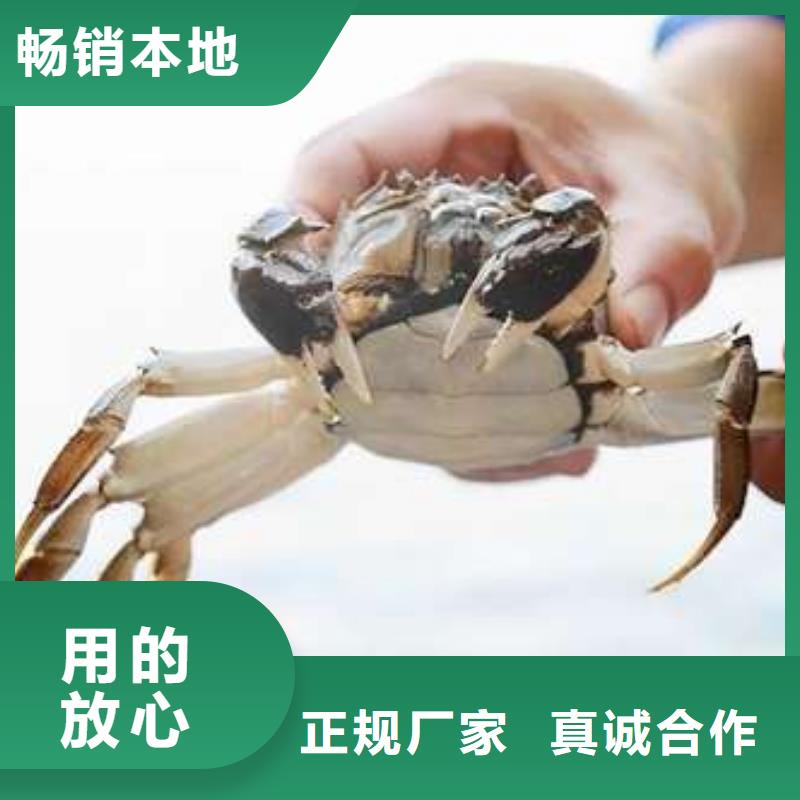 陽澄湖大閘蟹廠家直銷-找陽澄湖鎮蓮花島顧記大閘蟹經營部