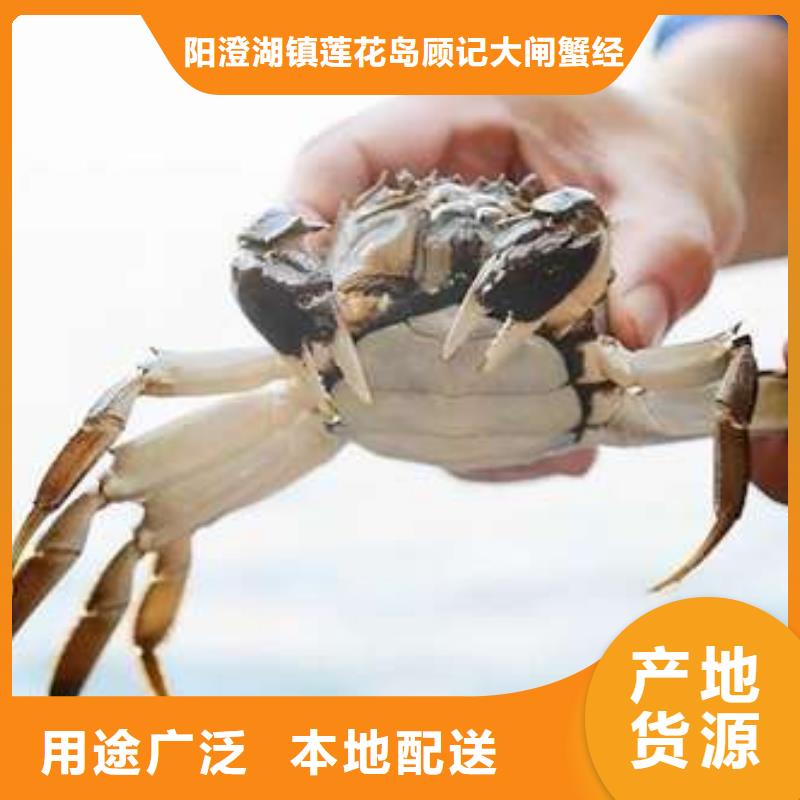 买大闸蟹视频-镇江市买大闸蟹-【当地】可服务区域扬中|丹徒|连云港|无锡|南通|淮安|泰州|苏州