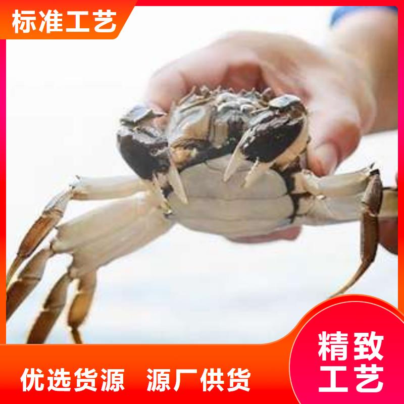 买大闸蟹视频-买大闸蟹-阳澄湖镇岛顾记大闸蟹经营部(南昌市分公司)服务区域东湖|湾里|新余|萍乡|抚州|上饶