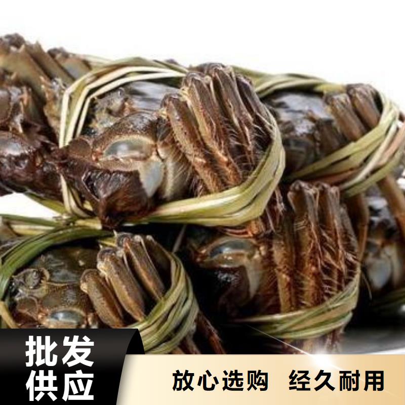 #陽澄湖大閘蟹#到廠參觀