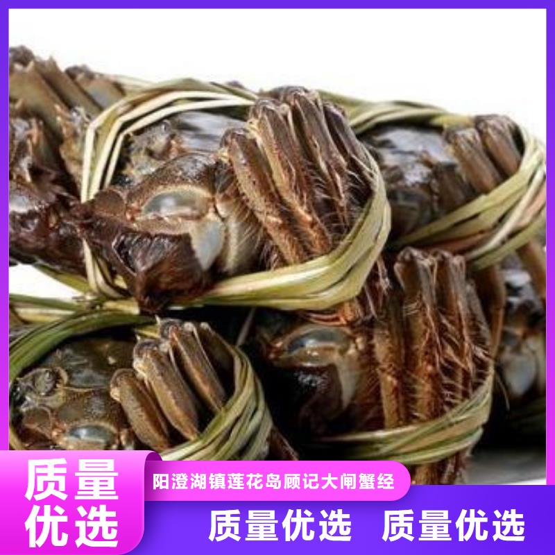 陽(yáng)澄湖大閘蟹品質(zhì)有保障