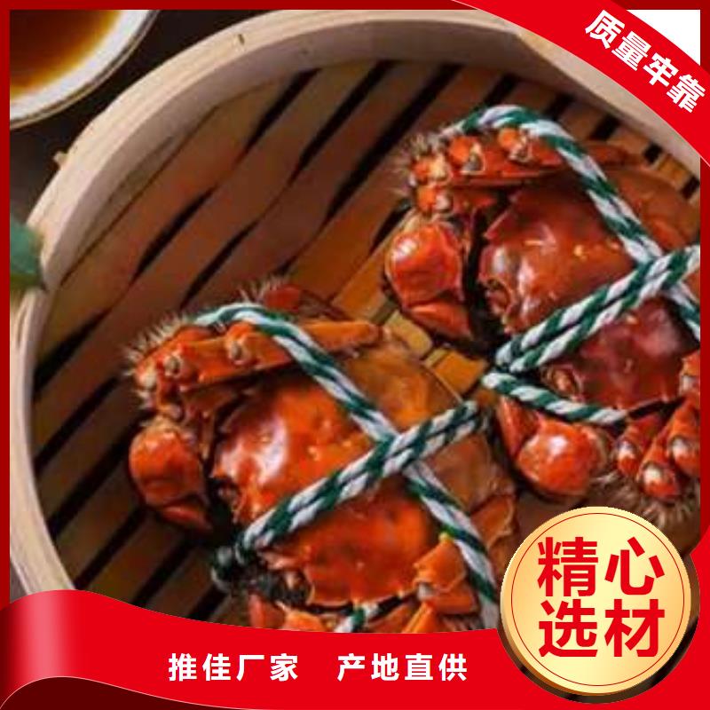 买大闸蟹视频-佛山|汕头|东莞|云浮|中山|湛江|广州顾记买大闸蟹_ 阳澄湖镇岛顾记大闸蟹经营部(广东省分公司)