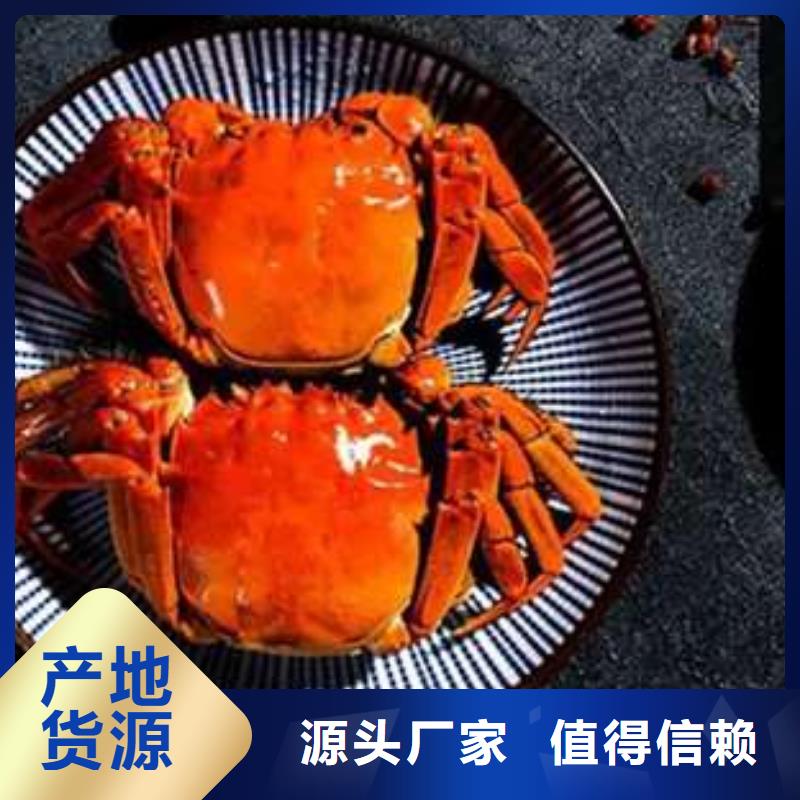 买大闸蟹视频-斗门|香洲|梅州|湛江|广州|汕尾买大闸蟹长期供应-阳澄湖镇岛顾记大闸蟹经营部(珠海市分公司)