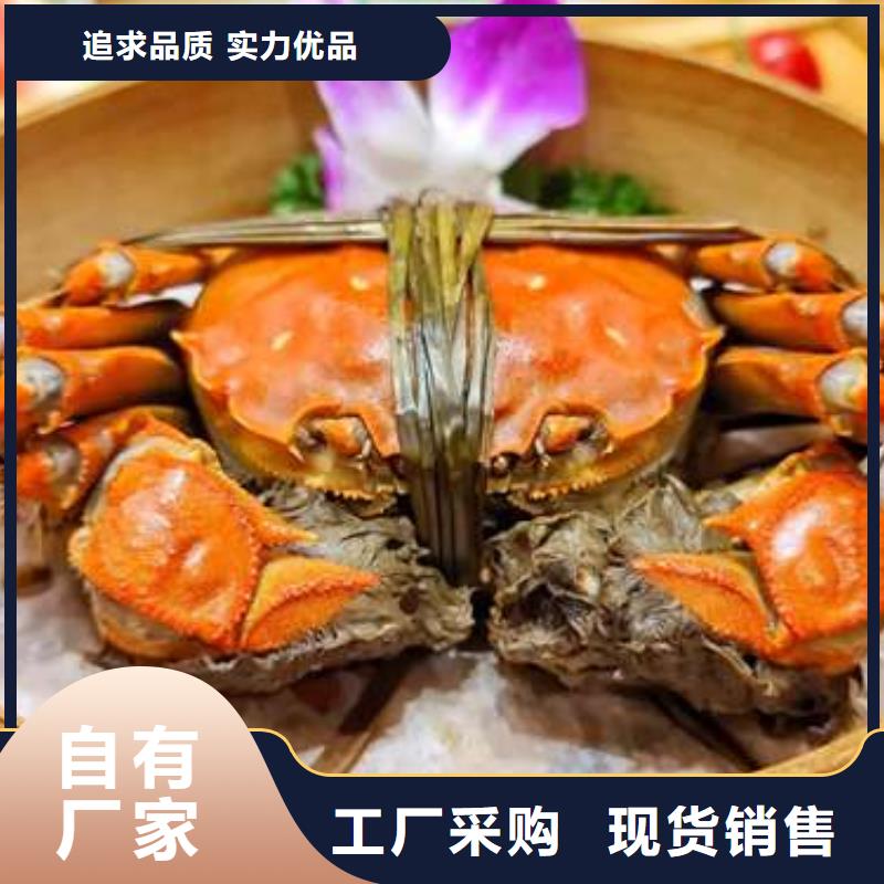 买大闸蟹视频-镇江市买大闸蟹-【当地】可服务区域扬中|丹徒|连云港|无锡|南通|淮安|泰州|苏州
