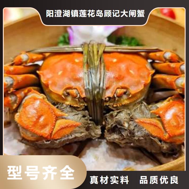 买大闸蟹视频-涉县|成安|沧州|衡水|邢台|廊坊|保定|秦皇岛|张家口买大闸蟹定制不额外收费-阳澄湖镇岛顾记大闸蟹经营部(邯郸市分公司)