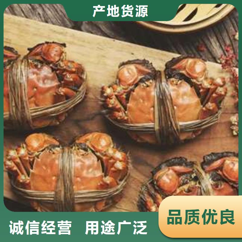 陽澄湖大閘蟹-陽澄湖大閘蟹供應(yīng)商