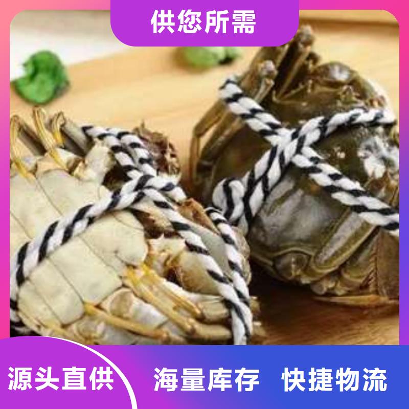 銷售陽澄湖大閘蟹_精選廠家