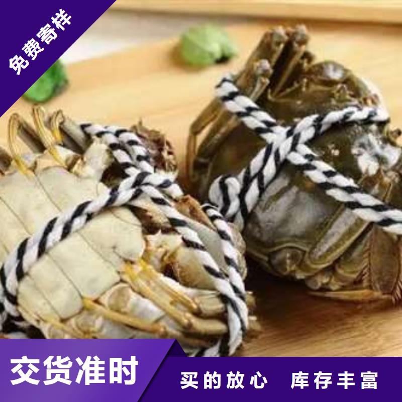 陽澄湖大閘蟹-陽澄湖大閘蟹供應(yīng)商
