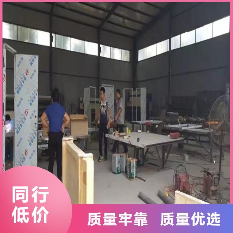 定制電動感應鉛門的當地廠家