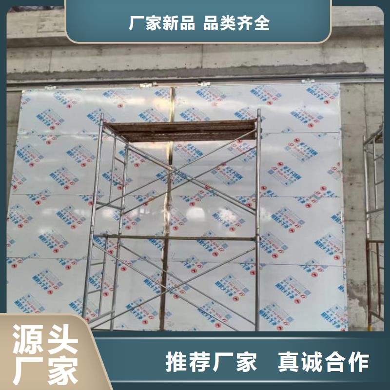 自動感應(yīng)平移鉛門-物美價廉