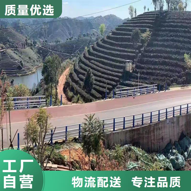 保亭縣道路防撞防護欄-好產品放心可靠