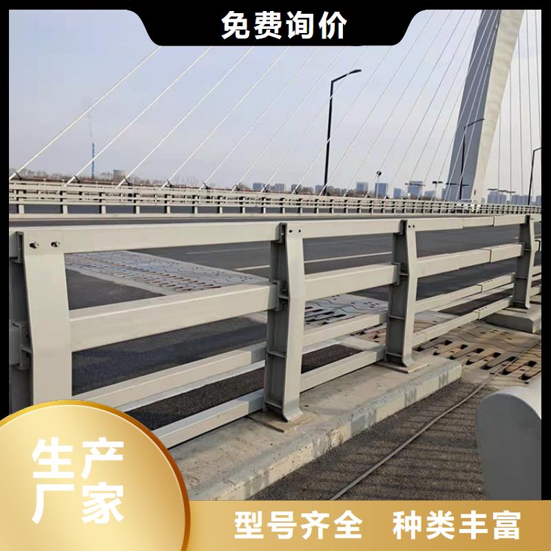 橋梁纜索護欄性價比高