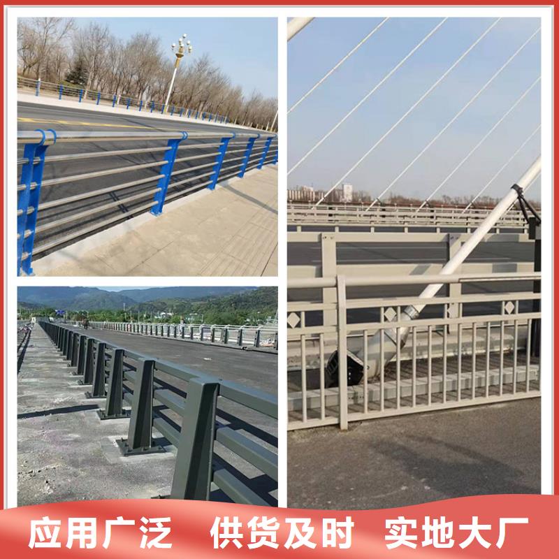 蔚縣湖邊防撞護欄技術實力雄厚